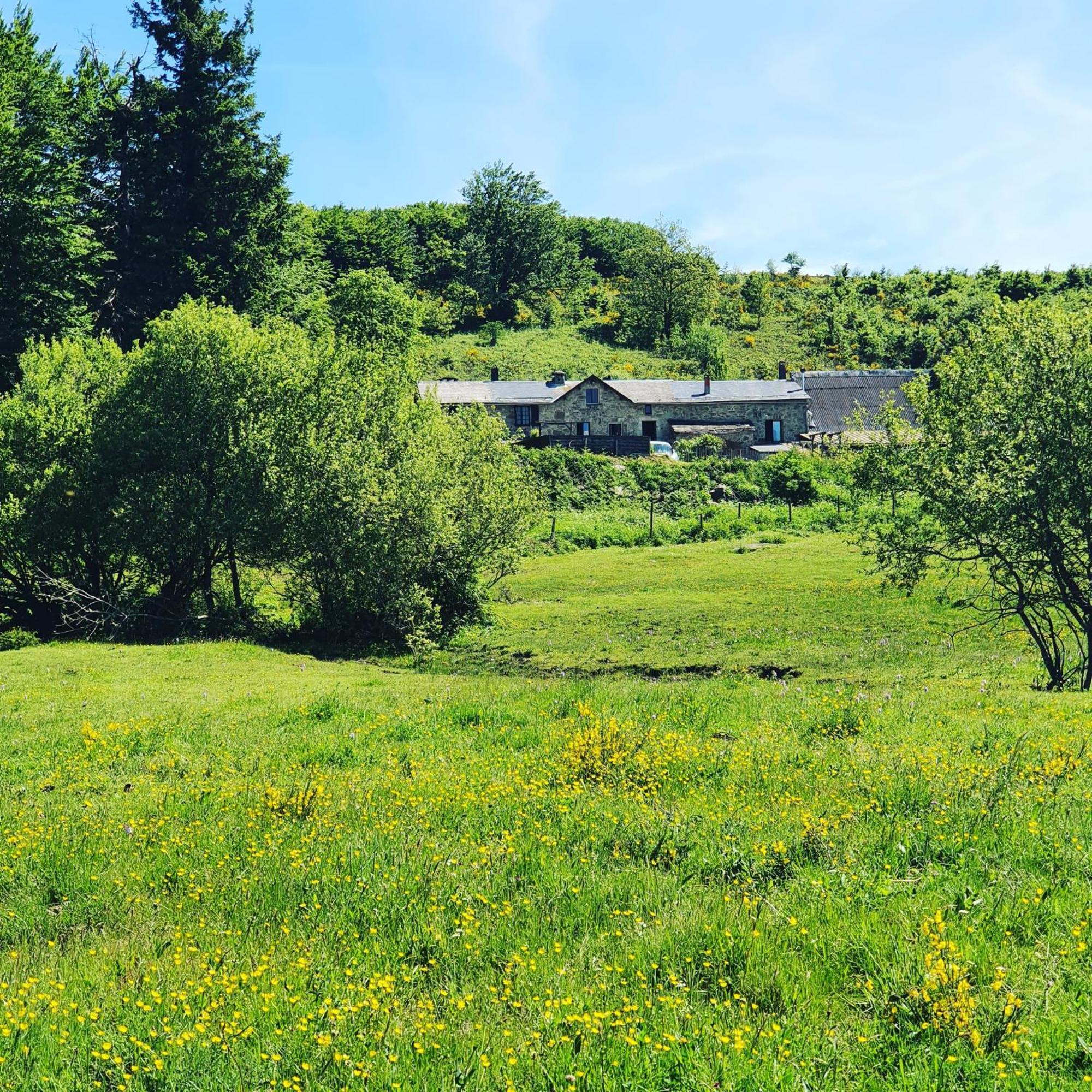 Ranch Du Haut-Languedoc La Salvetat-sur-Agout Exteriér fotografie